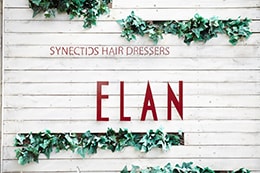 SYNECTICS HAIR DRESSERS ELAN