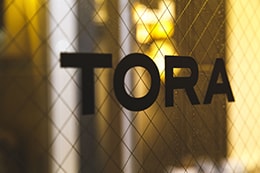 TORA by grico