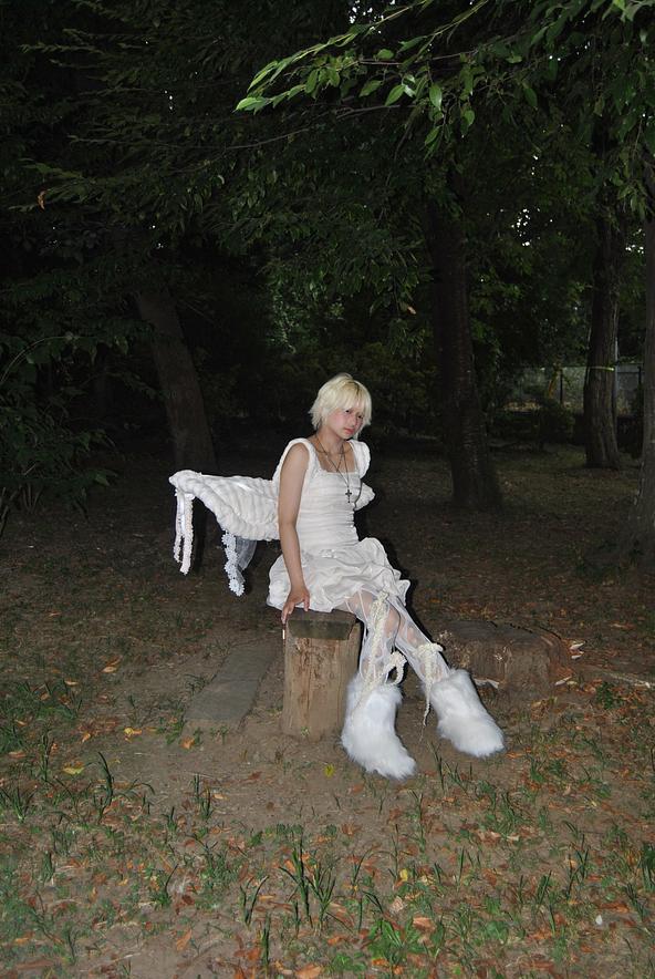 自慢の羽で闇の中へ